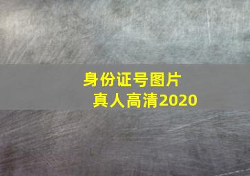 身份证号图片 真人高清2020